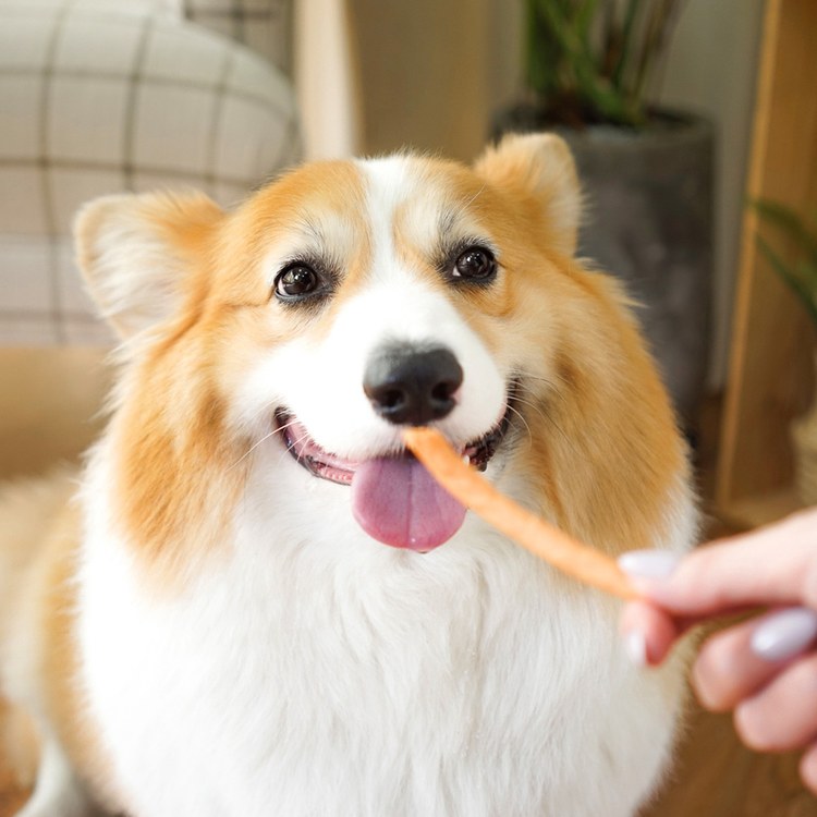 Hyperr超躍 涮嘴肉塊 手作零食 (狗零食|天然零食)