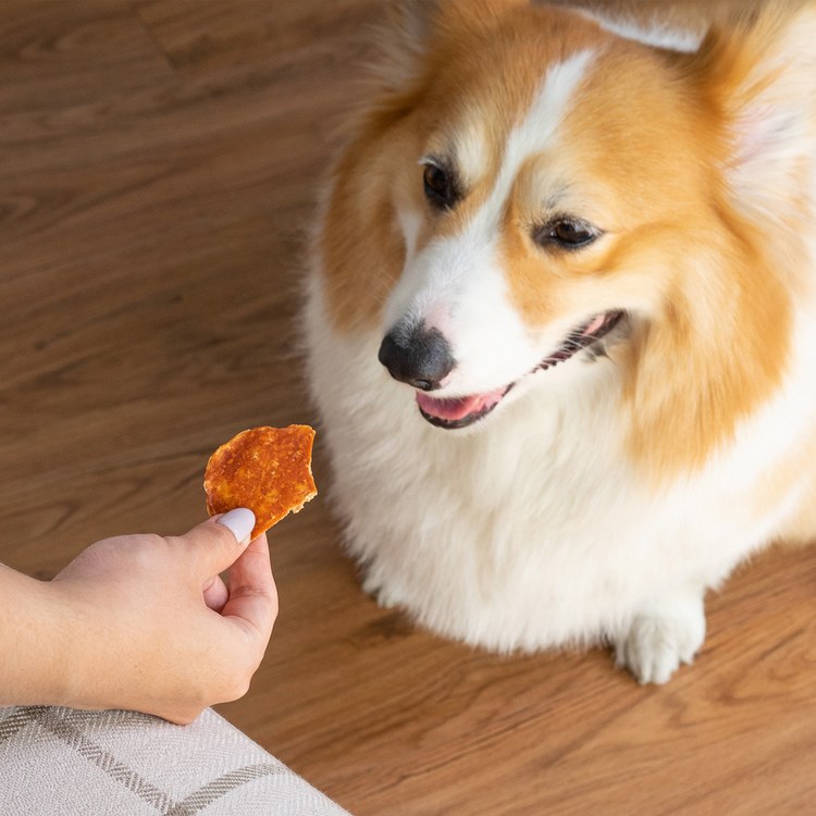 Hyperr超躍 亞麻籽雞肉餅 手作零食 (寵物零食|天然零食)