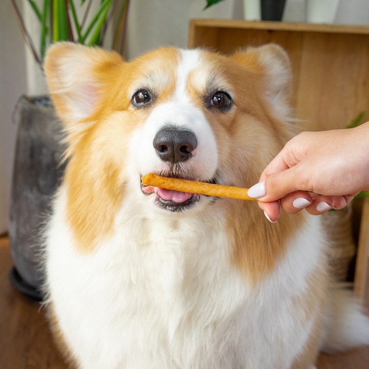 Hyperr超躍 起士雞肉條 手作零食 (寵物零食|天然零食)