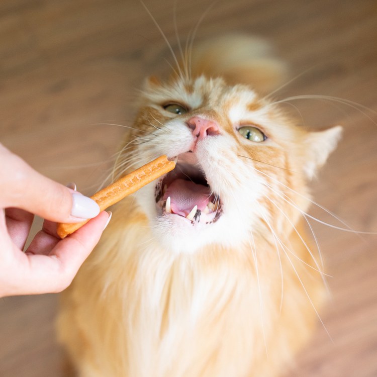 Hyperr超躍 涮嘴肉塊 手作零食 (狗零食|天然零食)