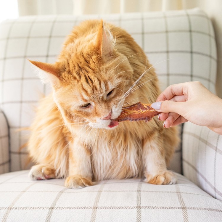 Hyperr超躍 雞柳肉條 手作零食 (寵物零食|天然零食)