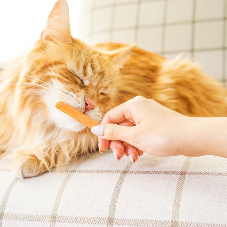 Hyperr超躍 減鹽小魚乾 手作零食 (寵物零食|天然零食)