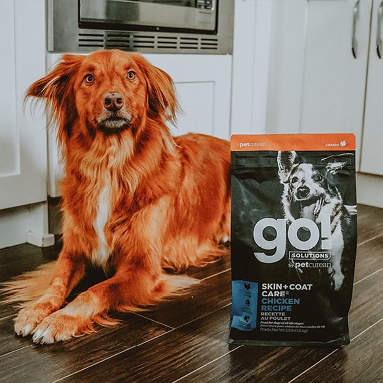 【微瑕疵】go! 全方位系列 狗糧 (狗飼料|犬糧)