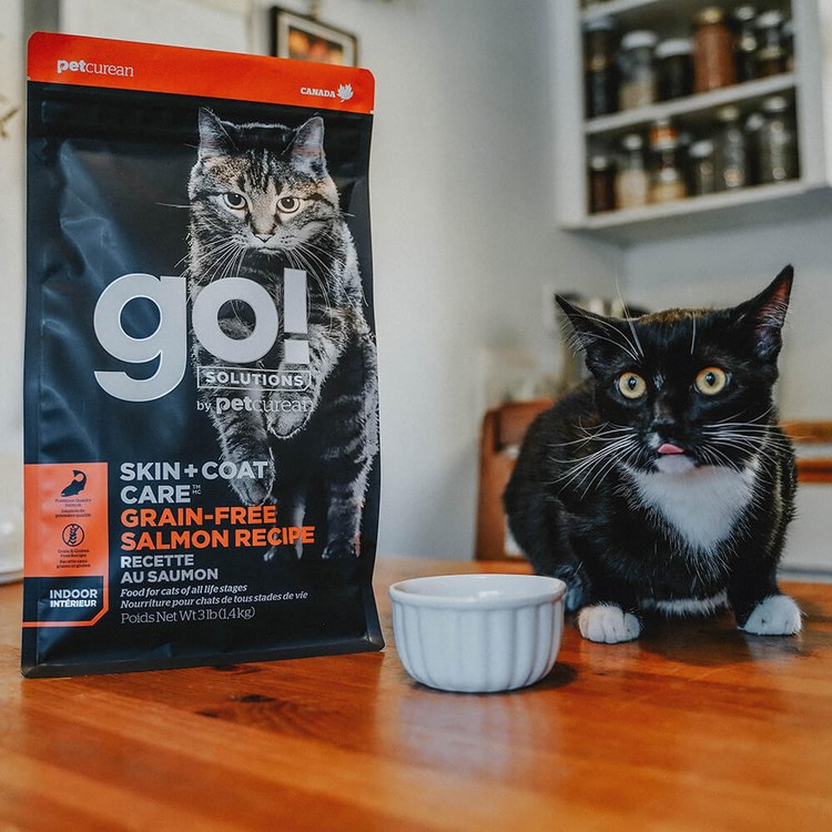 go! 全口味300克天然糧 無穀貓糧 (貓飼料|貓糧)