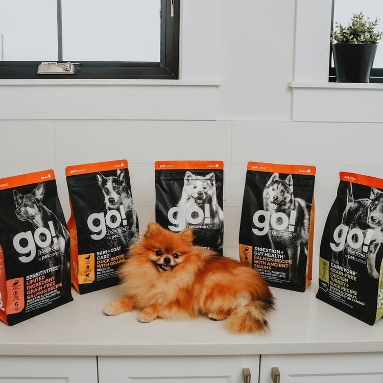 go! 鮭魚 全犬 腸胃保健狗糧 (狗飼料|犬糧)