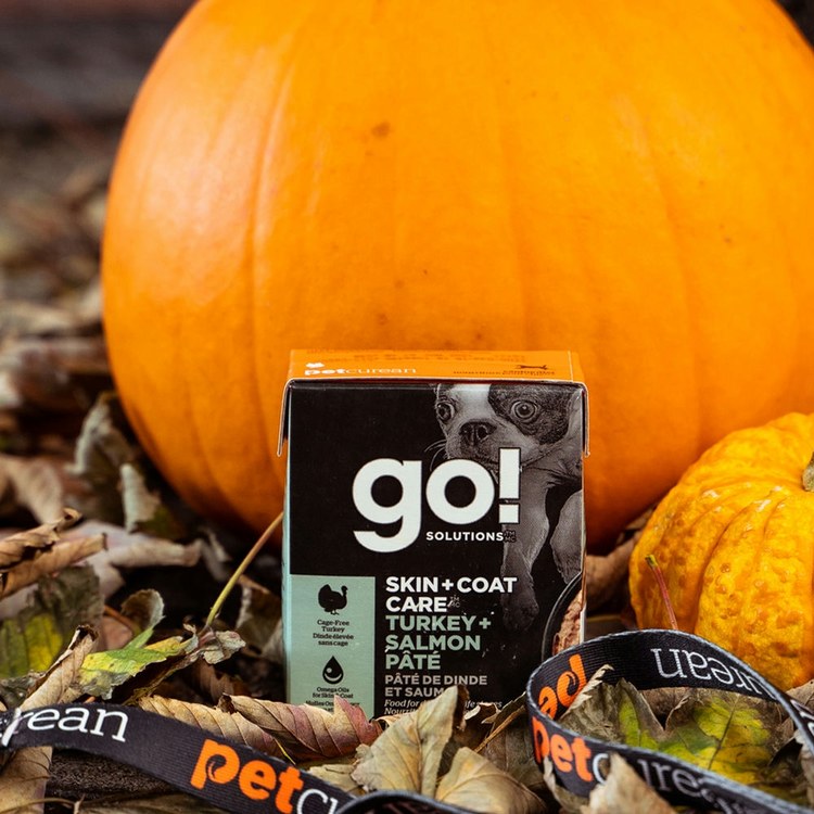 go! 火雞鮭魚 豐醬系列 狗鮮食利樂餐包 (狗罐|主食罐)