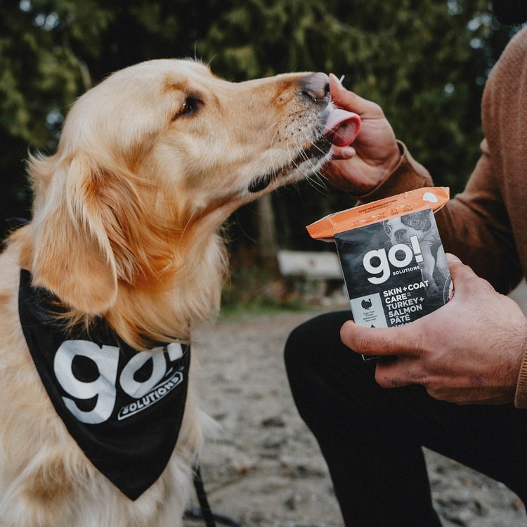 go! 火雞鮭魚 豐醬系列 狗鮮食利樂餐包 (狗罐|主食罐)