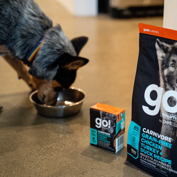 go! 無穀鮮雞 品燉系列 狗鮮食利樂餐包 (狗罐|主食罐)