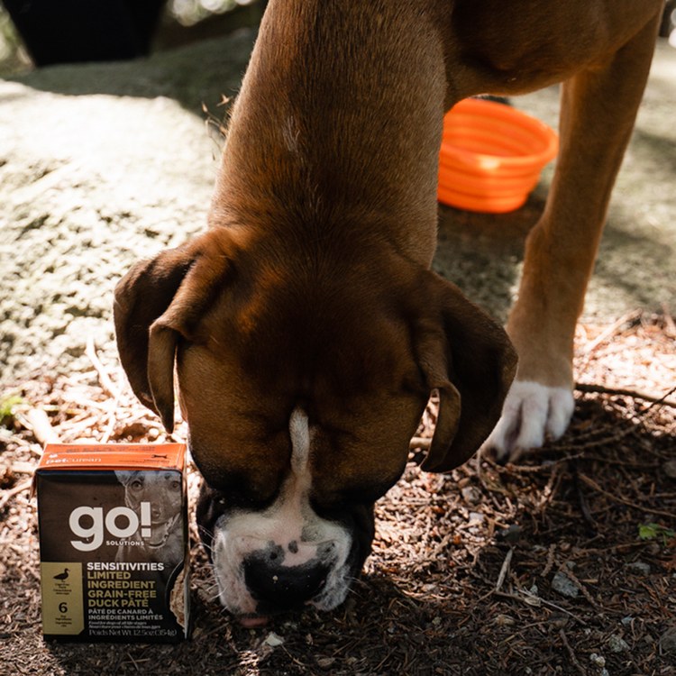 go! 無穀鴨 豐醬系列 狗鮮食利樂餐包 (狗罐|主食罐)