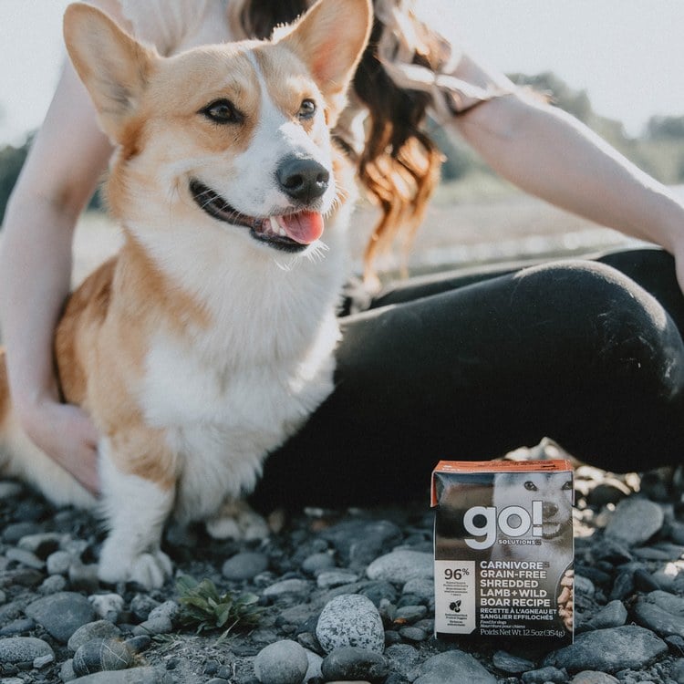 go! 能量放牧羊 嫩絲系列 狗鮮食利樂餐包 (狗罐|主食罐)