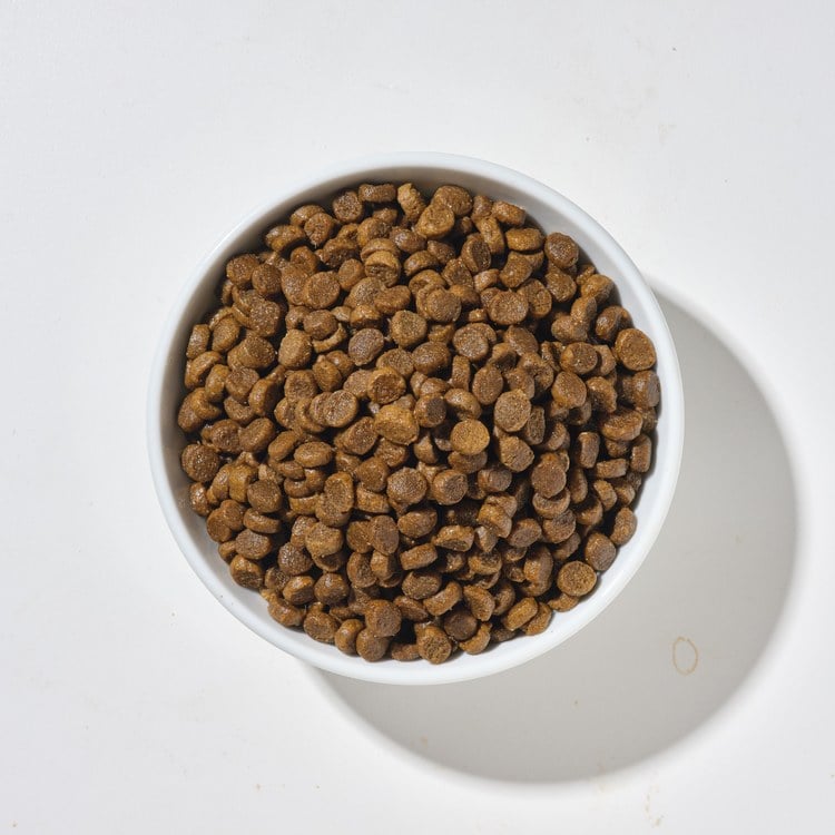 Hyperr超躍 低致敏無穀貓糧 2KG (貓飼料|貓糧)