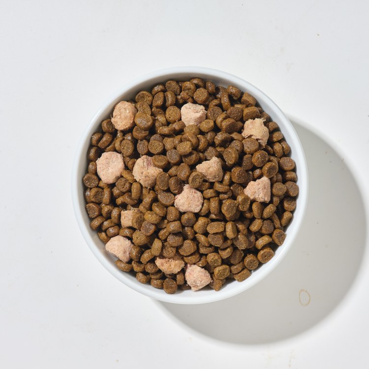 Hyperr超躍 雞肉牛肉 貓咪無穀飼料佐凍乾 (貓飼料|貓糧)