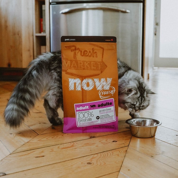 【貓咪組合包】now 貓咪鮮肉補給餐