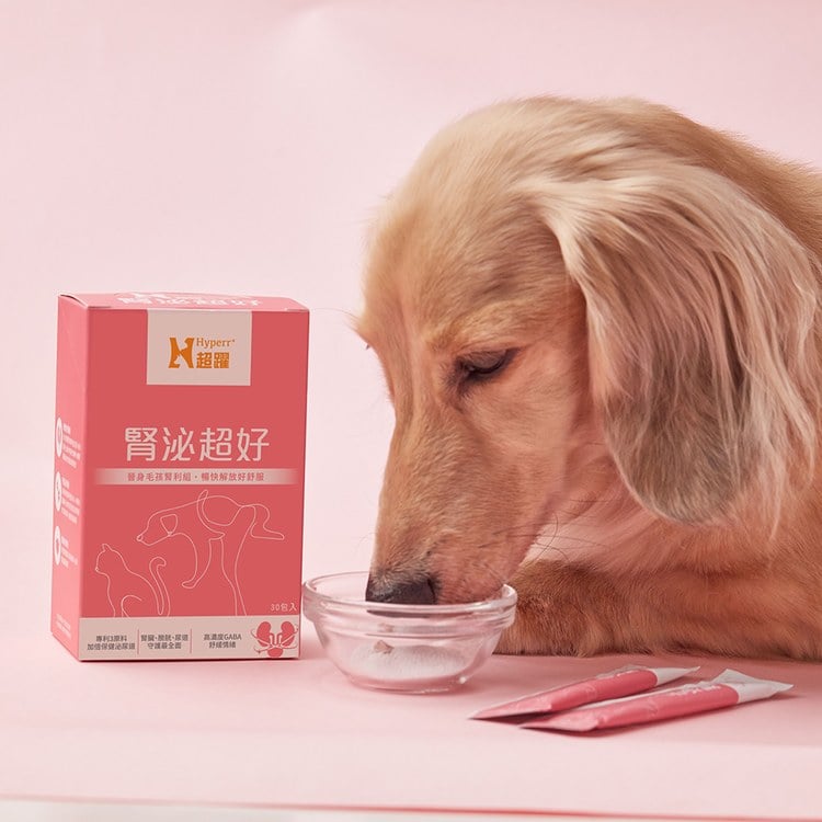 Hyperr超躍 狗貓腎泌益生菌 (保腎專利益生菌|蔓越莓萃取物)