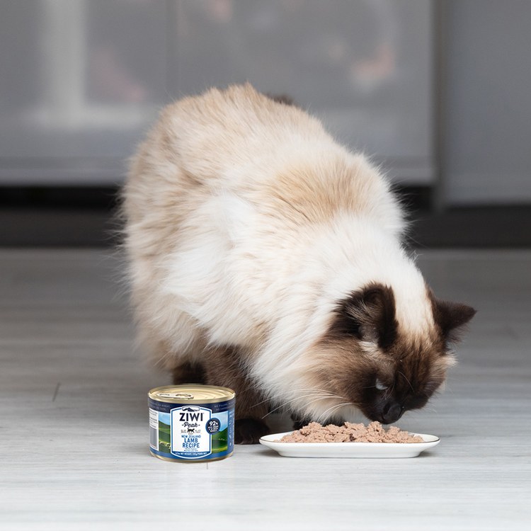 ZIWI巔峰 經典系列 鮮肉貓主食罐 (貓罐|罐頭)