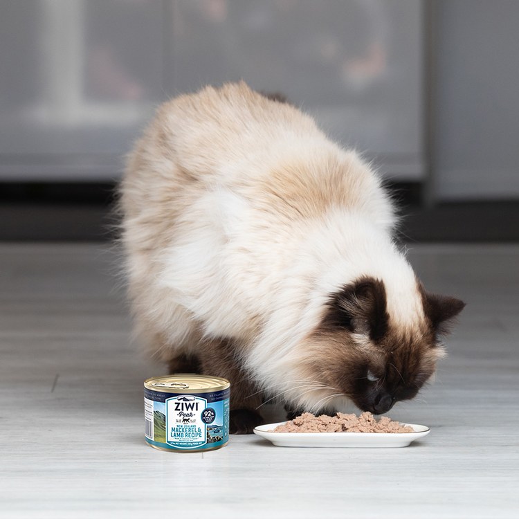 【貓咪組合包】ZIWI巔峰 養尊處優貓皇組 鯖魚口味