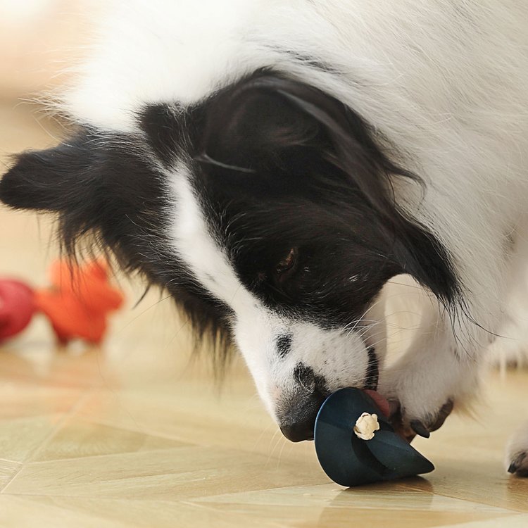 PetDreamHouse 經典啃咬 幾何藏食彈跳玩具(狗玩具|藏食玩具)