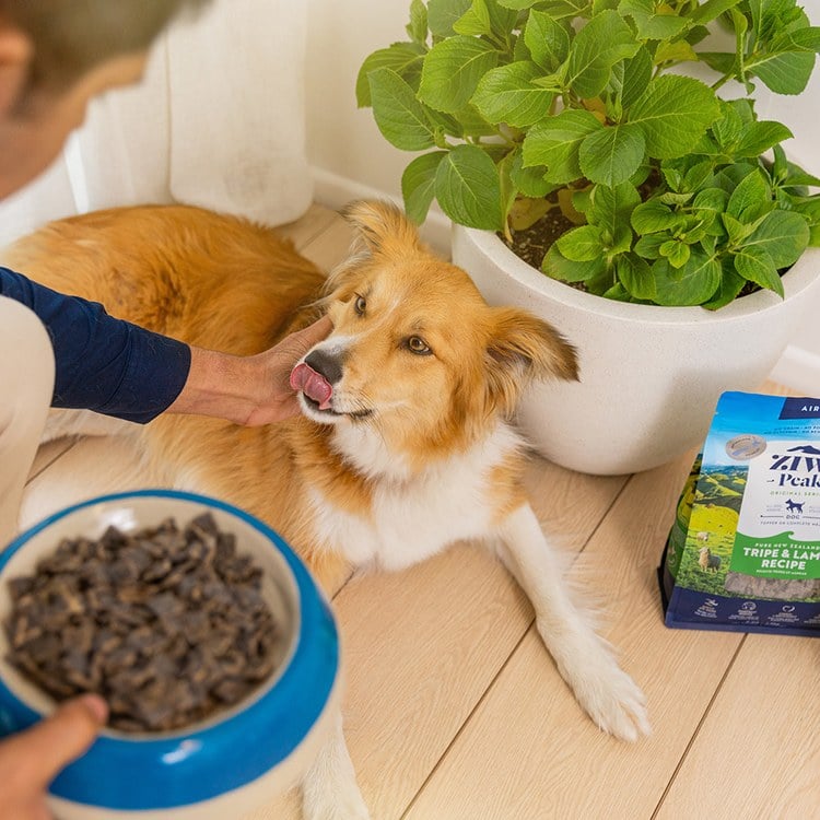 ZIWI巔峰 綜合口味 經典系列 狗糧 1公斤六口味各一 (狗飼料|生食肉片)