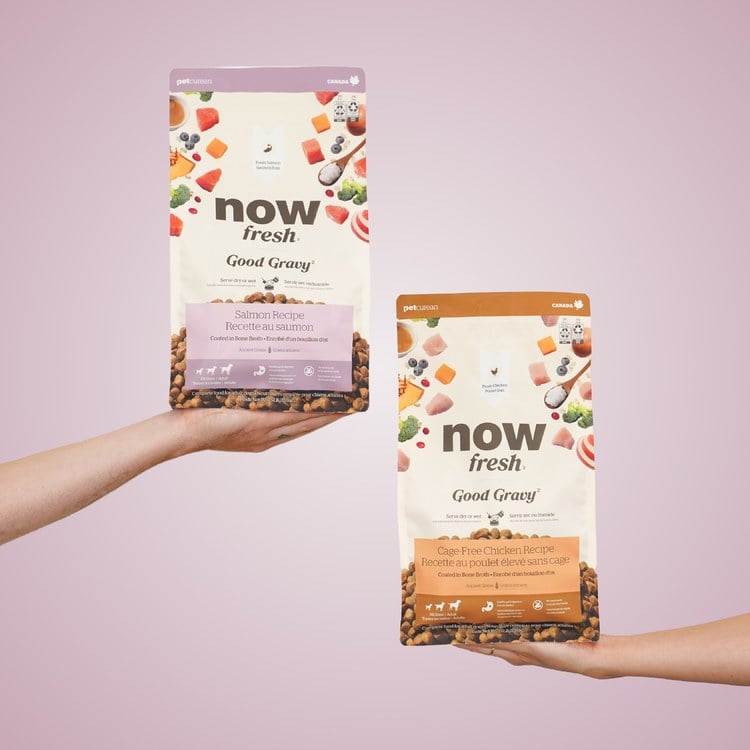 now 全口味 高湯天然糧 (乾濕兩吃|狗糧)