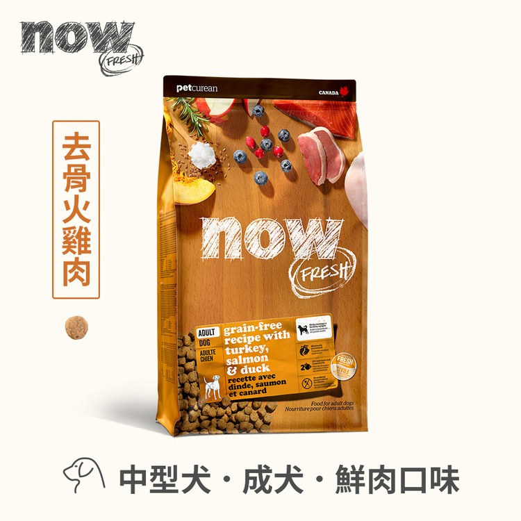 now 全口味狗糧 300克 無穀天然糧 (狗飼料|犬糧)