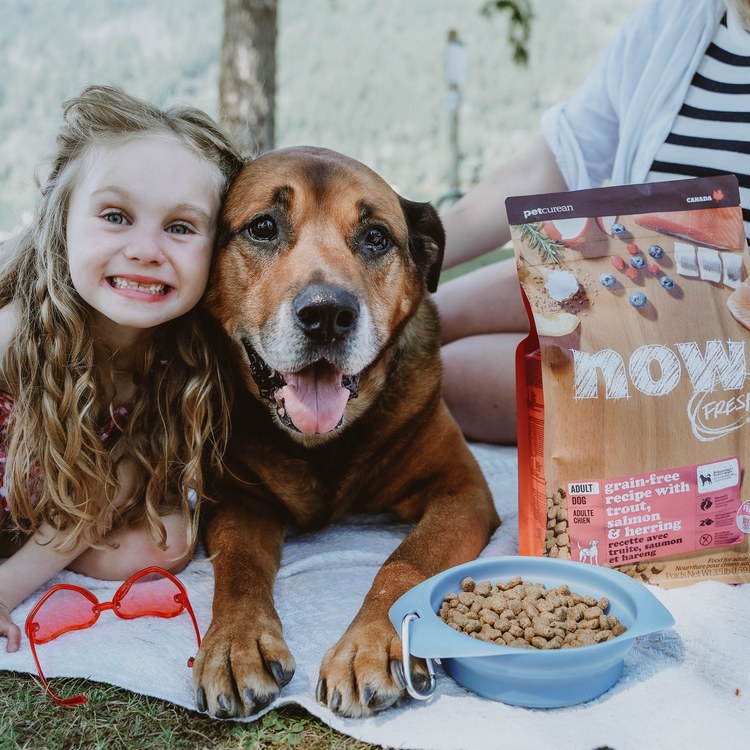 now 中型犬鮮肉無穀天然糧 (狗飼料|狗糧)