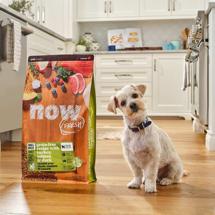 now 鮮肉無穀 22磅 狗狗天然糧 (狗飼料|狗糧)