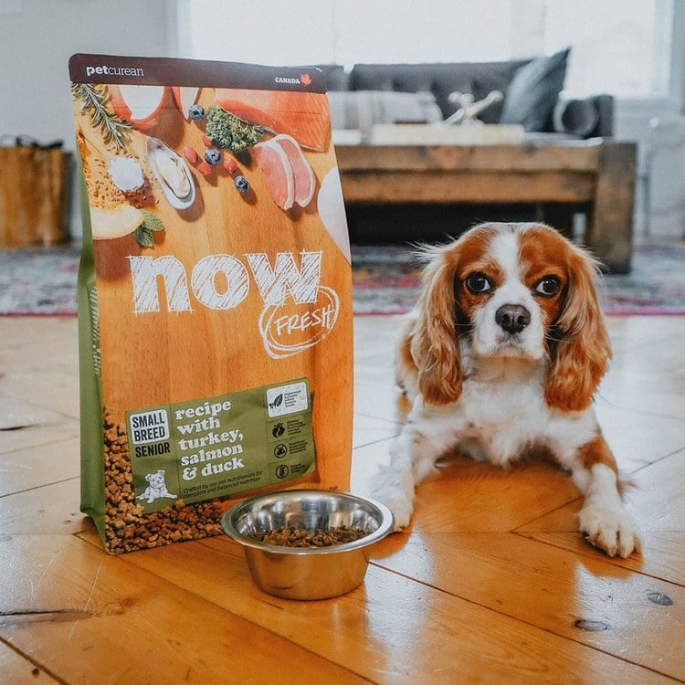 now 全口味狗糧 300克 無穀天然糧 (狗飼料|犬糧)