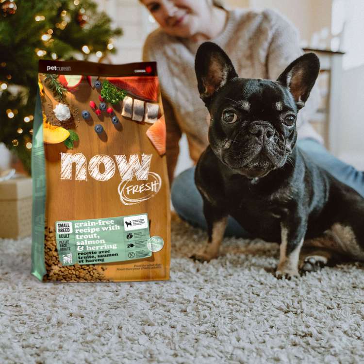 now 鮮魚小型犬 無穀天然糧 (狗飼料|狗糧)