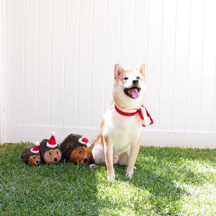 ZippyPaws 就愛在一起 小刺蝟三兄弟 啾啾聲 狗玩具 寵物玩具