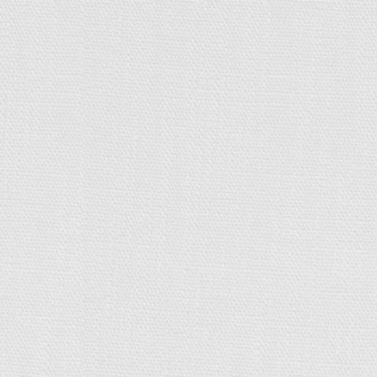 BOWSERS 寵物防撞極適骨頭抱枕 絢煥透白(不沾毛|舒適柔軟)