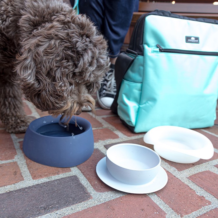 SLEEPYPOD YUMMY 寵物旅者三合一旅行餐碗 橘色(收納碗|防蟻碗)