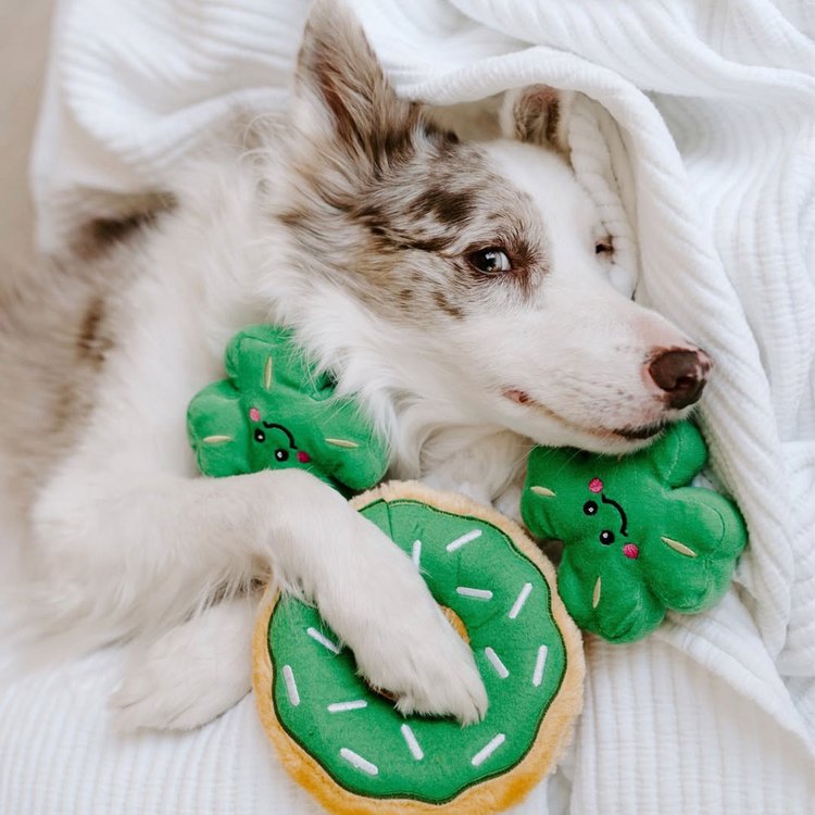 ZippyPaws 一定要儀式感吧 幸運草套餐 啾啾聲 狗玩具 寵物玩具