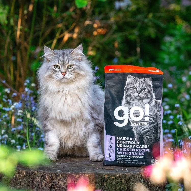 go! 雞肉 成貓 化毛泌尿保健貓糧 300克(貓飼料|貓糧)