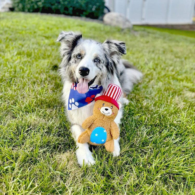 ZippyPaws 就愛在一起 美國小熊 啾啾聲 狗玩具 寵物玩具