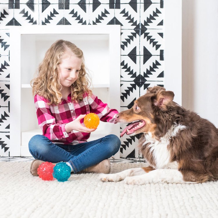 ZippyPaws 球就是經典 彈力球 耐啃咬 狗玩具 寵物玩具