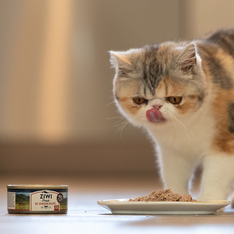 ZIWI巔峰 鹿肉 經典貓主食罐 (貓罐|罐頭)