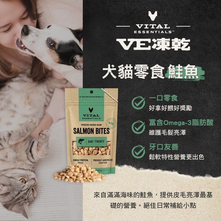 VE凍乾 鮭魚 零食 (好拿好餵｜皮毛亮澤)