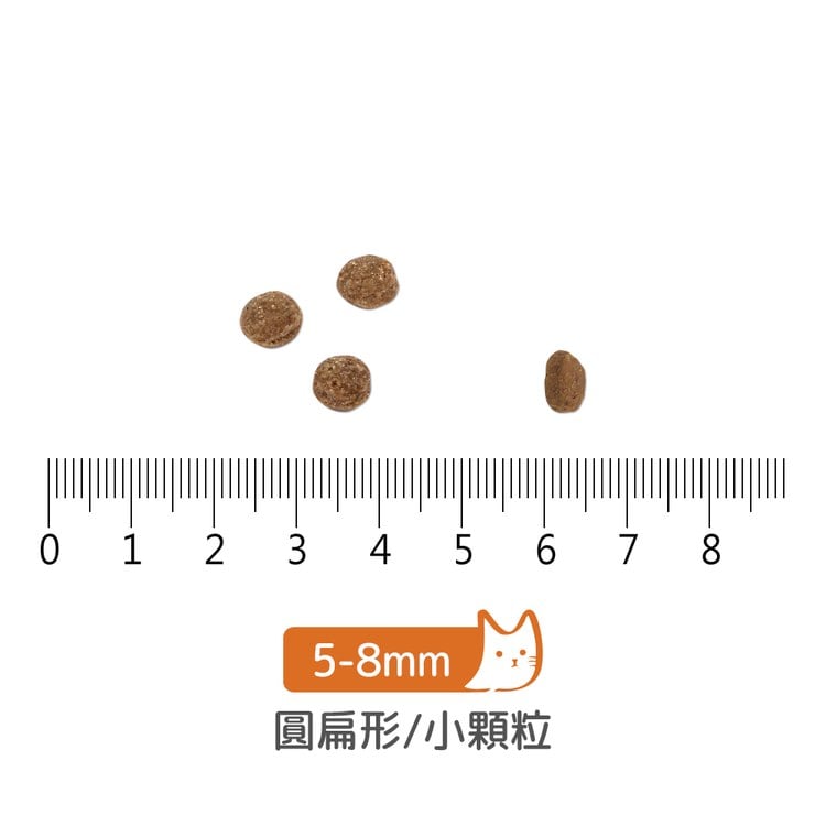 Vetalogica澳維康 低脂袋鼠肉 營養保健天然貓糧 (貓飼料|無穀)