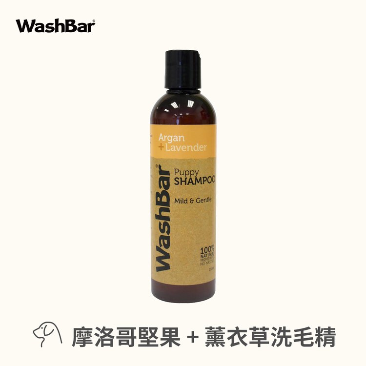 【即期加購】WashBar 精油洗毛劑系列 摩洛哥堅果洗毛精
