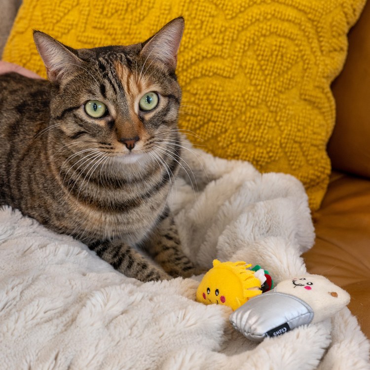 ZippyPaws 美味喵關係 潤餅捲&墨西哥捲餅 附貓薄荷 寵物玩具