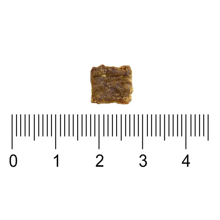 ZIWI巔峰 牛肉 經典系列 貓糧體驗包 (貓飼料|生食肉片)