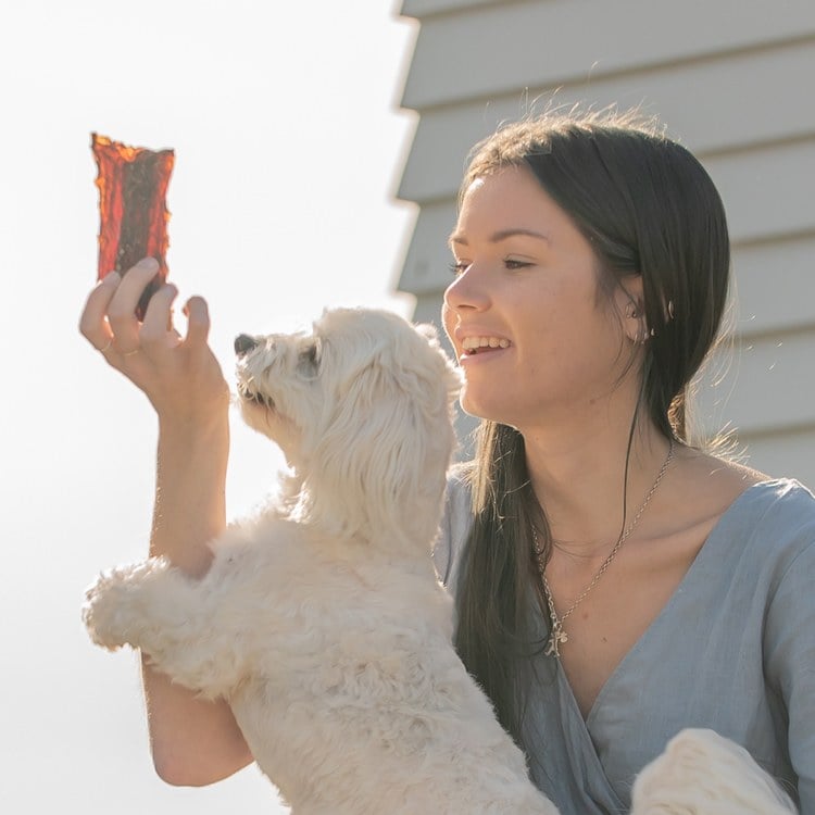 ZIWI巔峰 鹿肺鹿腎 乖狗狗天然潔牙骨 (寵物零食|狗零食)
