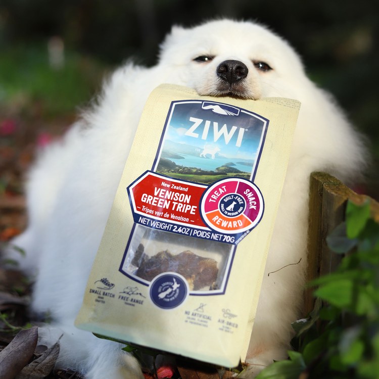 ZIWI巔峰 鹿肚 乖狗狗天然潔牙骨 (寵物零食|狗零食)