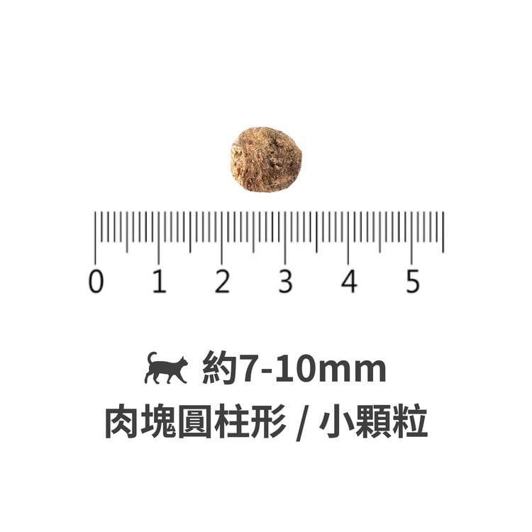 ZIWI巔峰 微蒸系列貓糧 (鮮肉顆粒|肉塊食感0肉粉)