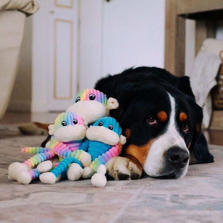 ZippyPaws 史賓賽兄弟 (兩入) 耐咬布偶 啾啾聲 寵物玩具