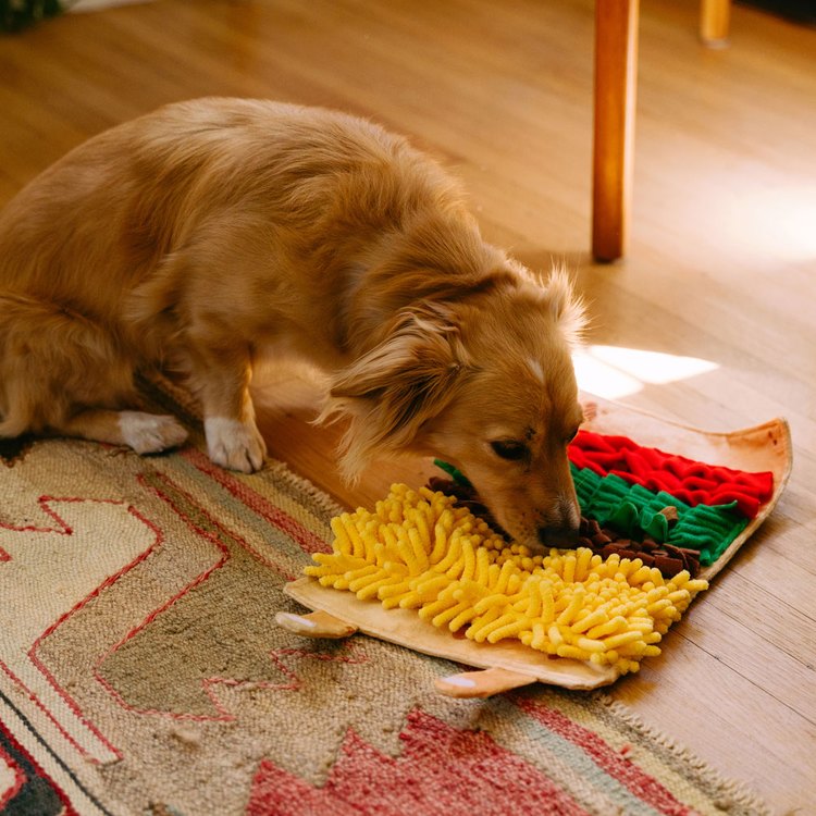 ZippyPaws 藏好才好吃 捲餅&飯捲 藏食互動 狗玩具 寵物玩具