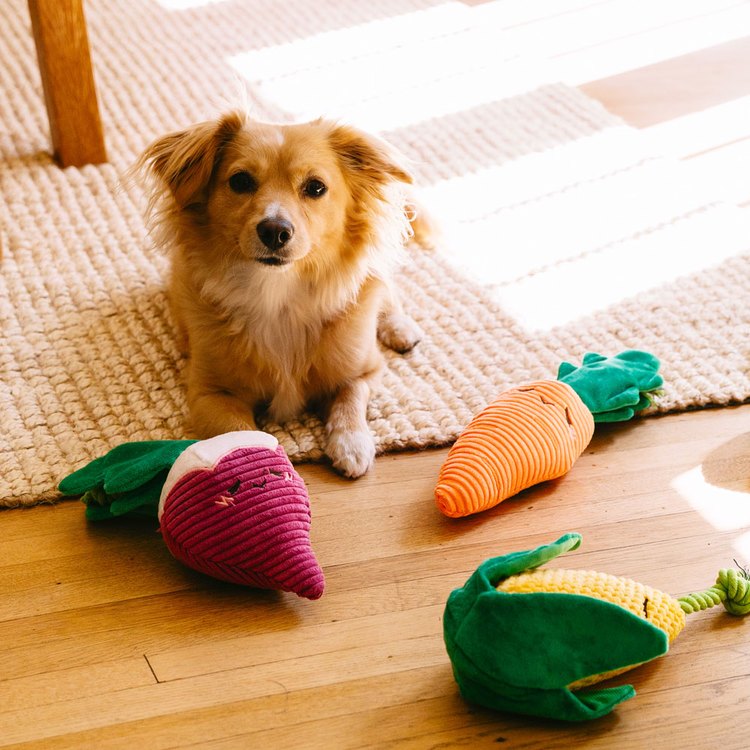 ZippyPaws 吵鬧蔬果攤 皺紋胡蘿蔔 啾啾聲 狗玩具 寵物玩具