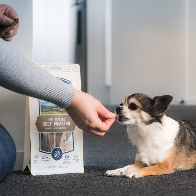 ZIWI巔峰 牛氣管 乖狗狗天然潔牙骨 (寵物零食|狗零食)