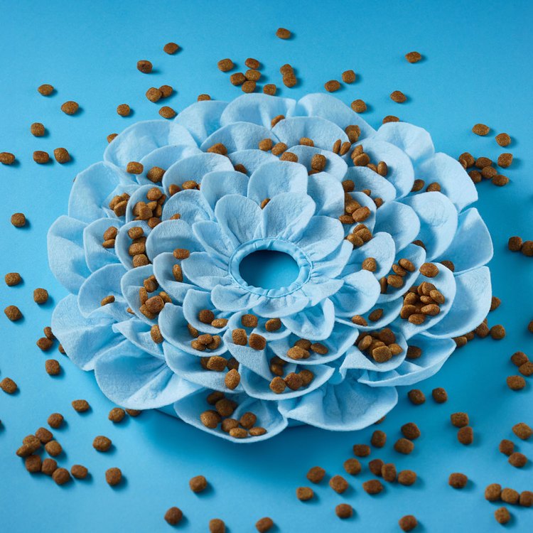 PetDreamHouse 配件-聞嗅藏食花-春日藍