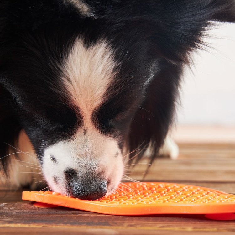 PetDreamHouse 爪爪星球口水舔食墊 夕陽橘(犬貓適用｜肉泥墊)